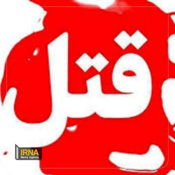 دستگیری زن همسرکُش در شمال تهران و کشف کلاهبرداری هفت میلیاردی اینترنتی