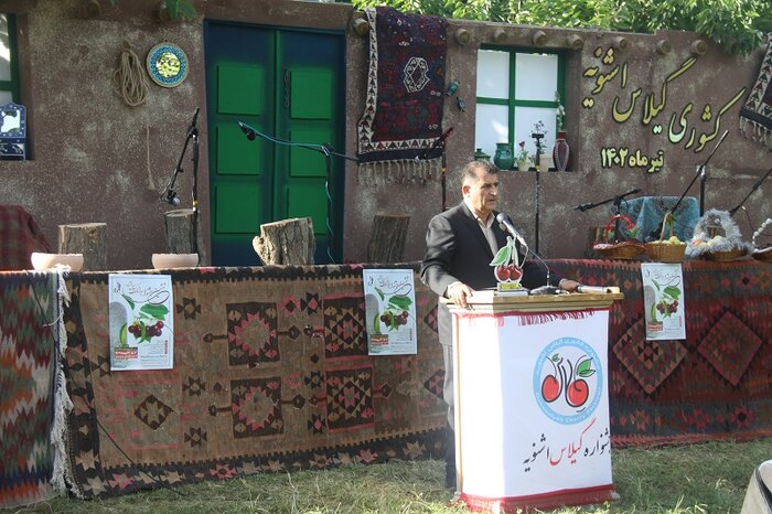 اشنویه؛ شهری که به گیلاس مینازد+ فیلم