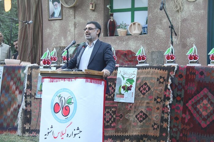 اشنویه؛ شهری که به گیلاس مینازد+ فیلم