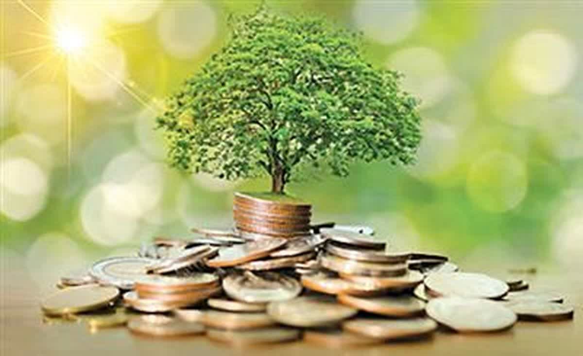 هفت میلیارد ریال در خراسان جنوبی قرض ماندگار پرداخت شد هفت میلیارد ریال در خراسان جنوبی قرض ماندگار پرداخت شد