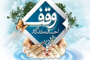 یک هزار موقوفه شناسایی نشده در مهریز یزد وجود دارد + فیلم