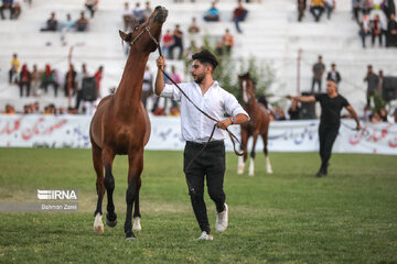 Kurdish horse festival in Iran’s Kermanshah