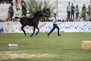 Kurdish horse festival in Iran’s Kermanshah