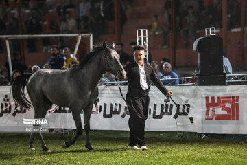 Kurdish horse festival in Iran’s Kermanshah