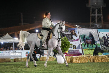 Kurdish horse festival in Iran’s Kermanshah