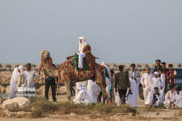  Puesta en escena de 'Qadir Jom' en Qeshm 
