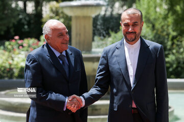 La rencontre entre les ministres des AE de l’Iran et de l’Algérie