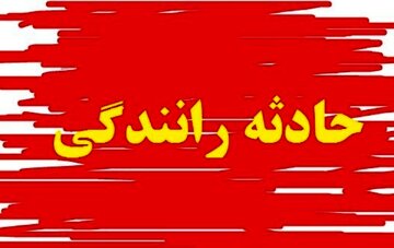 عدم توانایی کنترل وسیله نقلیه علت تصادف ۲۰۶ با عابران در صدرای شیراز
