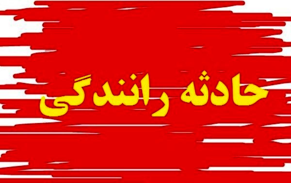 عدم توانایی کنترل وسیله نقلیه علت تصادف ۲۰۶ با عابران در صدرای شیراز