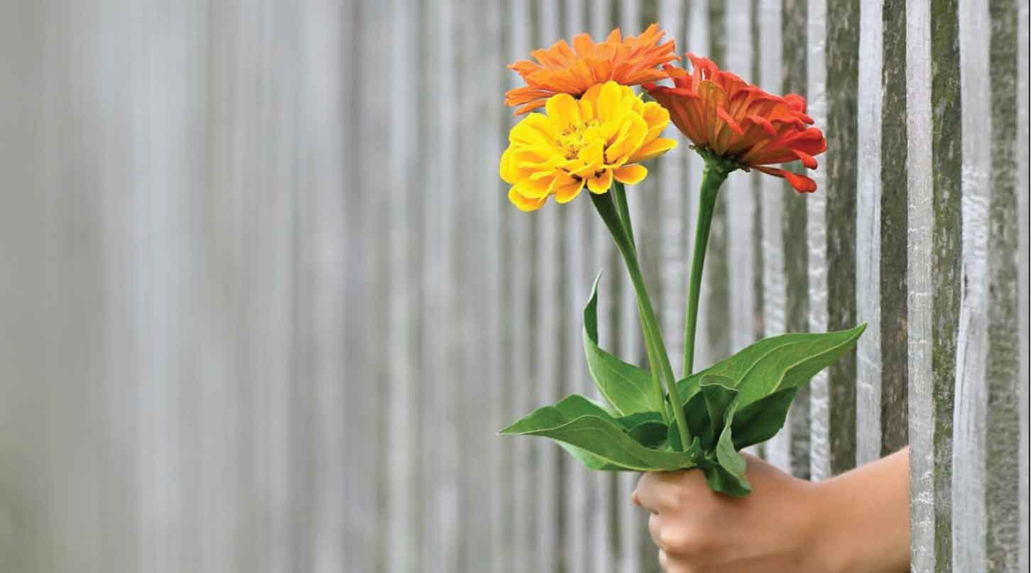 بخشیدن دیگران چه فوایدی برای سلامتیتان دارد؟