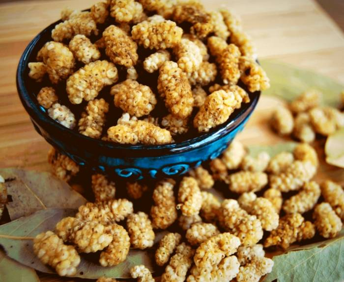 بهترین شیرینیهای رژیمی برای چاق نشدن