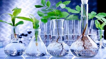 تجاری سازی فناوری های بیوتکنولوژی کشاورزی سرعت می یابد
