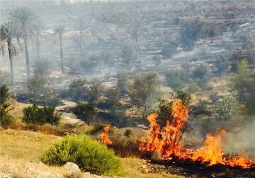 آتش‌سوزی ارتفاعات جارچی زنجان مهار شد