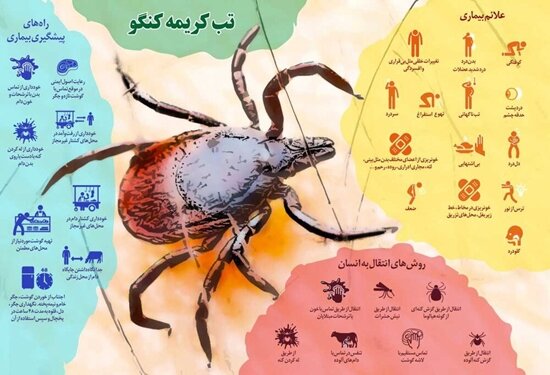 ثبت ۲۸ مورد ابتلا به تب کریمه کنگو و فوت ۳ نفر 