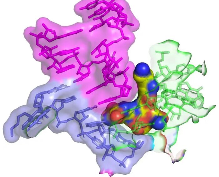 یک آنتیبیوتیک قدیمی راه درمان عفونتهای مقاوم را هموار میکند