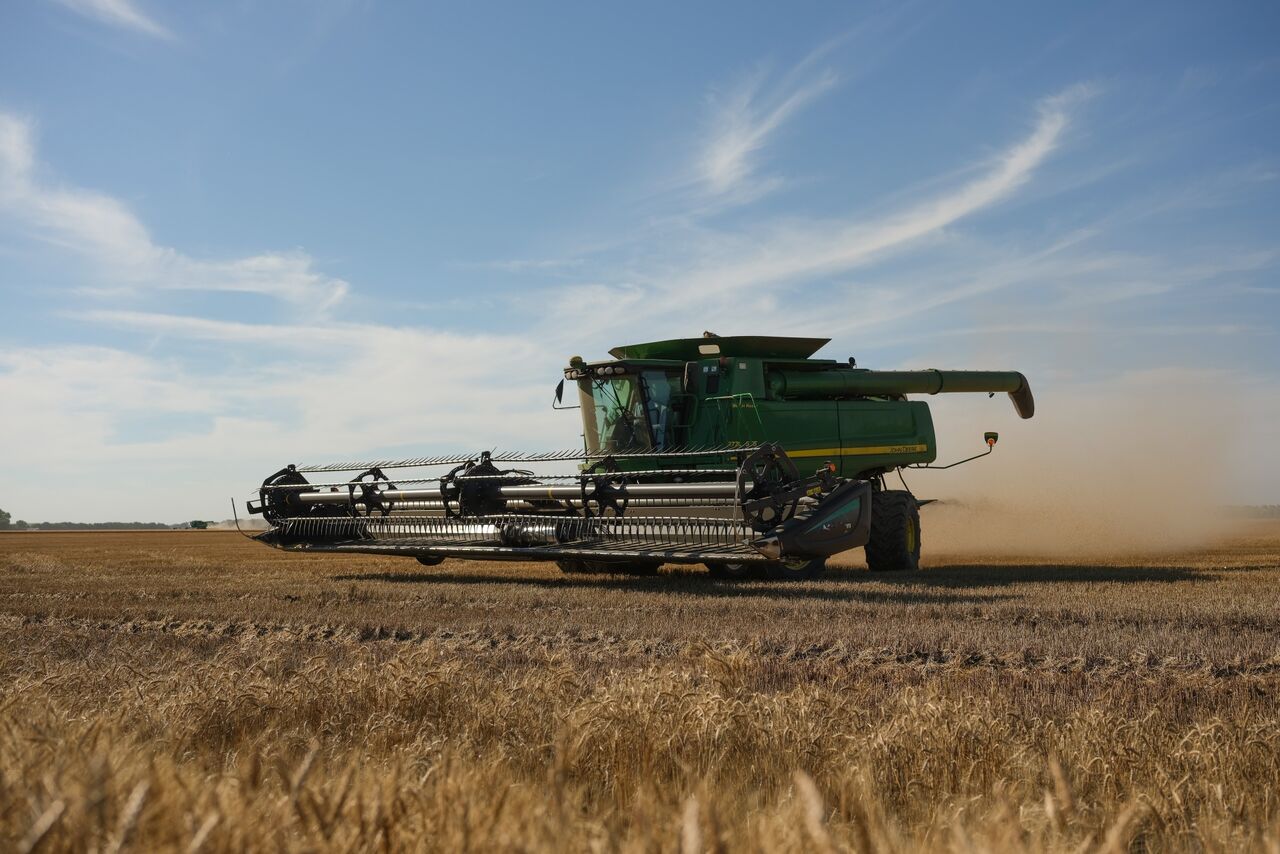 Iran's domestic wheat purchases exceed 6m mt