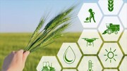 مجوز راه اندازی پردیس علم و فناوری کشاورزی در خوزستان صادر شد