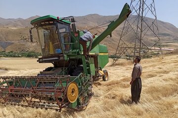 افزون بر ۹۷ هزار تن گندم مازاد برنیاز کشاورزان در کردستان خریداری شد