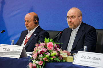 Asian Parliamentary Assembly  in Tehran