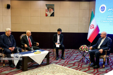 Asian Parliamentary Assembly  in Tehran