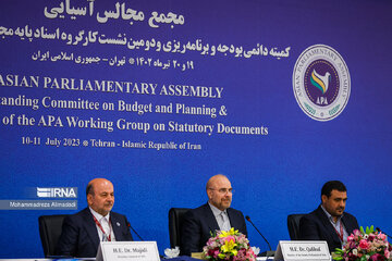 Asian Parliamentary Assembly  in Tehran