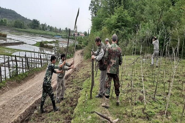 تعهد سال اول گیلان در طرح کاشت یک میلیارد اصله نهال محقق شد