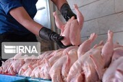 ۹ هزار و ۴۰۰ تن گوشت مرغ در بازار هرمزگان توزیع شد
