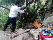 گردشگر سقوط کرده از آبشار کلات خراسان رضوی نجات یافت