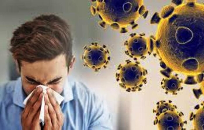 آشنایی با ویروس متاپنوموویروس، علائم و راه های پیشگیری از آن 2 170478854