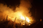 کالیفرنیای آمریکا در آتش می سوزد؛ دستور تخلیه هزار خانه + فیلم