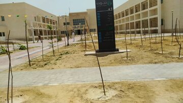 فیلم| ضرورت تکمیل خدمات‌رسانی بیمارستان «نبوت» در کُنارک