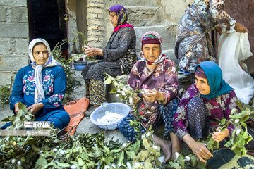 طرح توانمندسازی ۲۰۰ زن سرپرست خانوار در زنجان آغاز شد