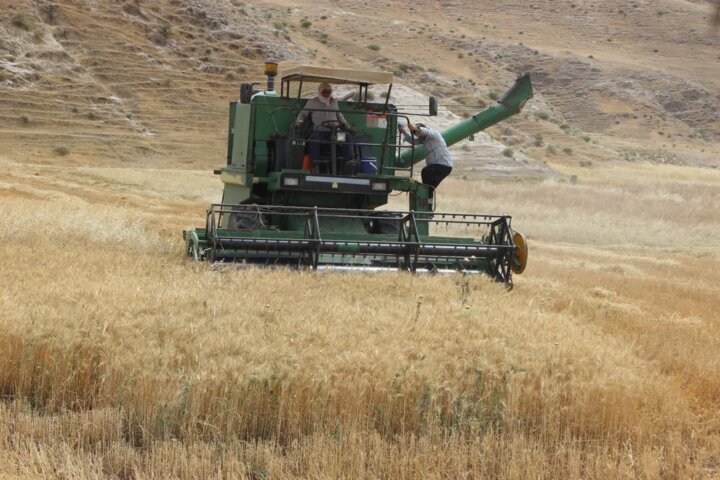 «کشاورزی غیراصولی» بلای بزرگ فرونشست زمین در کشور