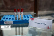 سه هزار نمونه خون بند ناف داوطلبان در قزوین ذخیره شد