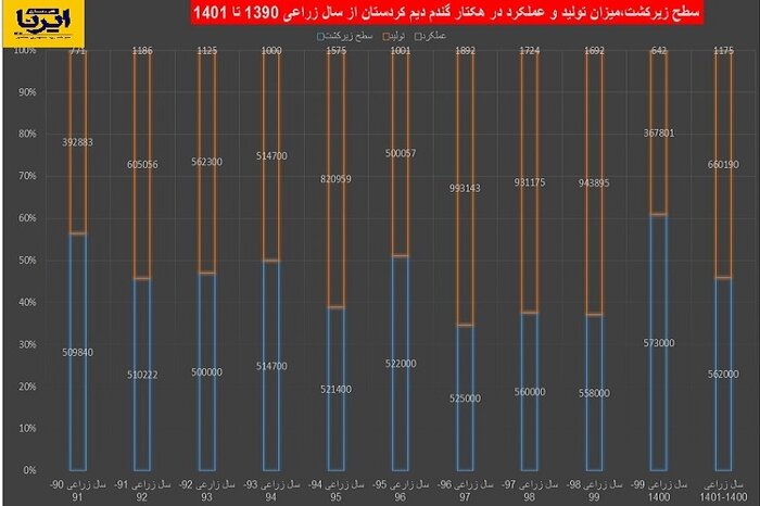 طلای زرد کردستان از عیار نمی افتد؛تولید اقتصادی گندم دیم در استان