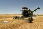 ۵۲ مرکز خرید تضمینی گندم در استان همدان فعال است