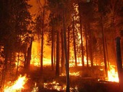 ABD'deki Sıcak Hava Dalgası ve Yangınlar Yıkıcı Etkisini Sürdürüyor + Görüntü