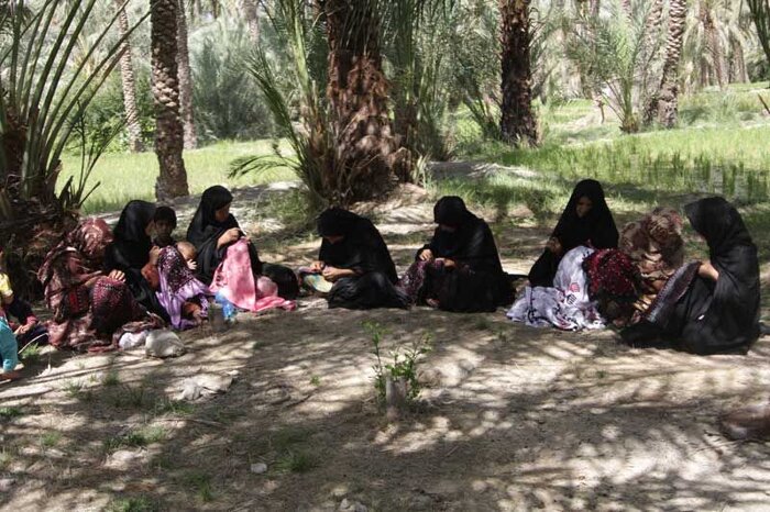 نبض تجارت مردمی؛ تعاونیها موتور محرک اقتصاد در سیستان و بلوچستان