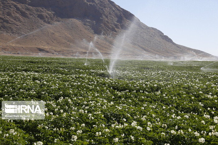 فراگیری پروژه‌های مهندسی آب و خاک، ضامن پیشرفت صنعت کشاورزی اصفهان