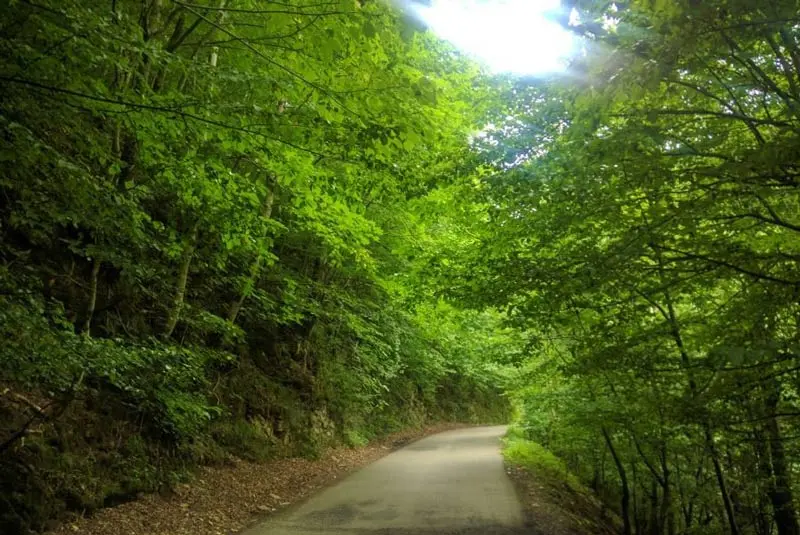 آبشار ویسادار تالش؛ جایی که شما را شگفت زده میکند 3 آبشار ویسادار تالش؛ جایی که شما را شگفت زده میکند