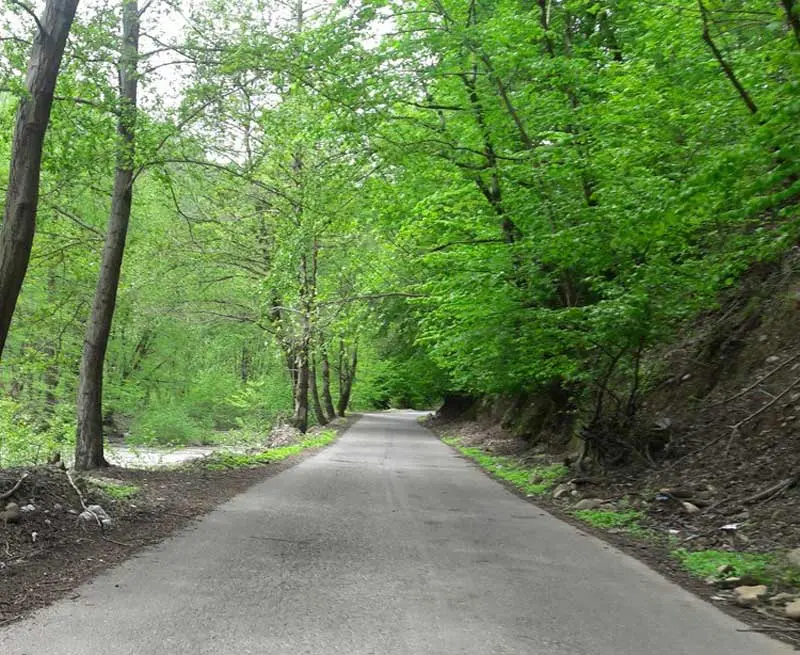 آبشار ویسادار تالش؛ جایی که شما را شگفت زده میکند 4 آبشار ویسادار تالش؛ جایی که شما را شگفت زده میکند