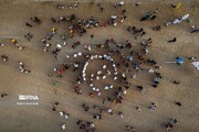 Le festival du Nouvel An des pêcheurs sur l'île iranienne de Qeshm