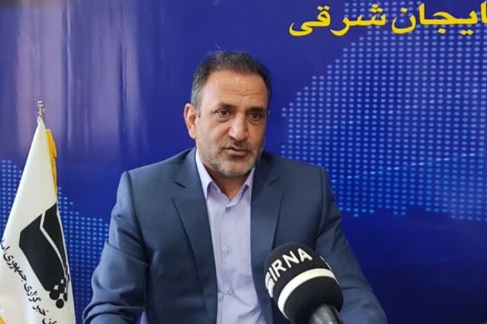 جولان سگ ها در تبریز پیش چشم مسوولان/ثبت سه هزار حیوان گزیدگی در ۱۵ ماه