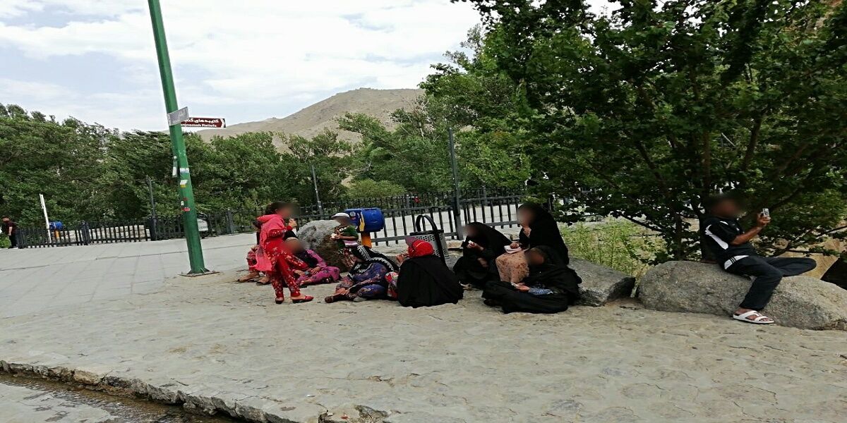مدیر خدمات شهری همدان: جمع آوری فالگیرها به حکم دادستانی نیازمند است