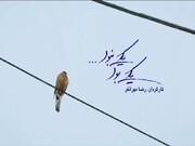 مجموعه مستند «یکی بود یکی نبود» روی آنتن شبکه یک می‌رود/ قصه فراموش نشدنی آدم‌ها