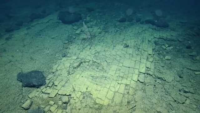 آثار ناشناخته حفاریها در بستر دریا بر آبزیان 2 آثار ناشناخته حفاریها در بستر دریا بر آبزیان