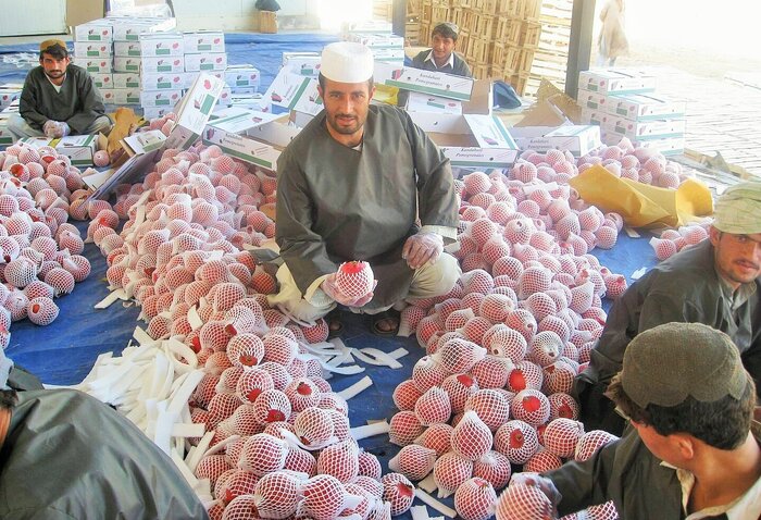 راهآهن خواف- هرات، احیاگر اقتصاد افغانستان و سودمند برای ایران