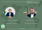 Iran, Pakistan determined to fight Islamophobia: Zardari