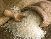 افزایش ۳۰ درصدی واردات برنج در سال ۱۴۰۱ به منظور مدیریت بازار