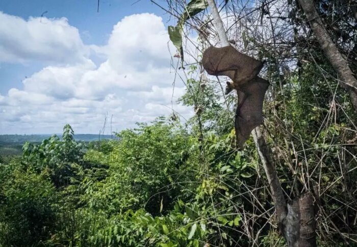 حفاظت مشارکتی، کلید حفظ و احیاء غارها/خانه خفاشها را خراب نکنیم